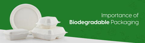 10 Reasons Why Biodegradable Food Packaging Matters in India