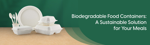 A Greener Way to Enjoy Meals: The Pros of Biodegradable Food Containers