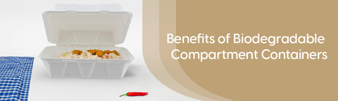 Exploring Biodegradable Compartment Containers in India!