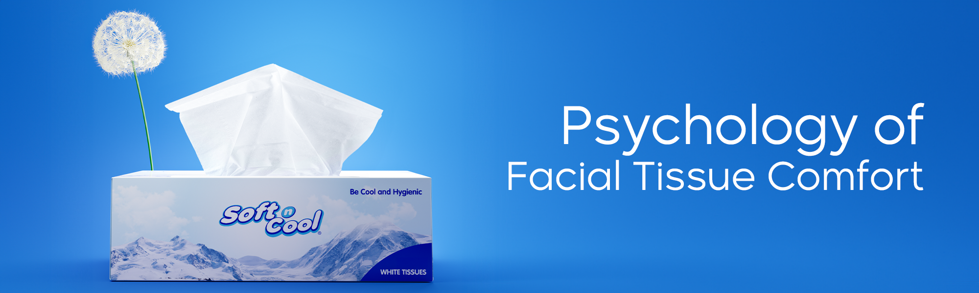 Exploring the Psychological Comfort of Soft Facial Tissues – Hotpack India