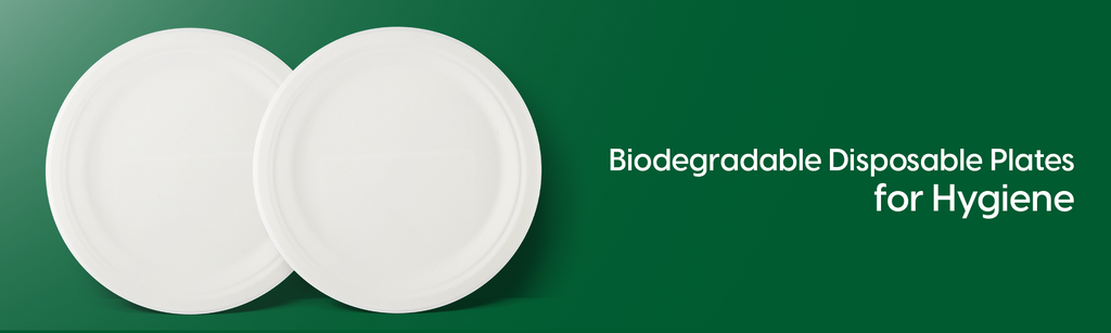 Prioritizing Hygiene: The Adoption of Biodegradable Disposable Plates