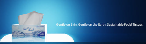 Unveiling Facial Tissues for Hygiene and Sustainability