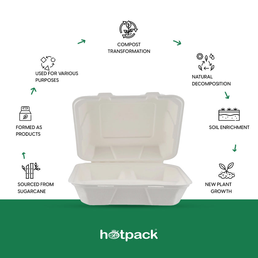8 inch Biodegradable Hinged square container | India – Hotpack India