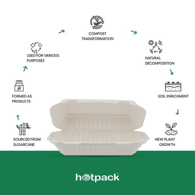 Biodegradable Disposable Rectangular Clamshells | India – Hotpack India